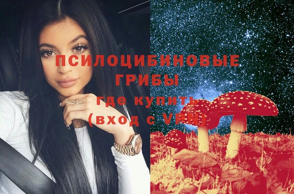 a pvp Новокубанск